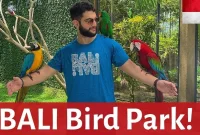 Bali Bird Park