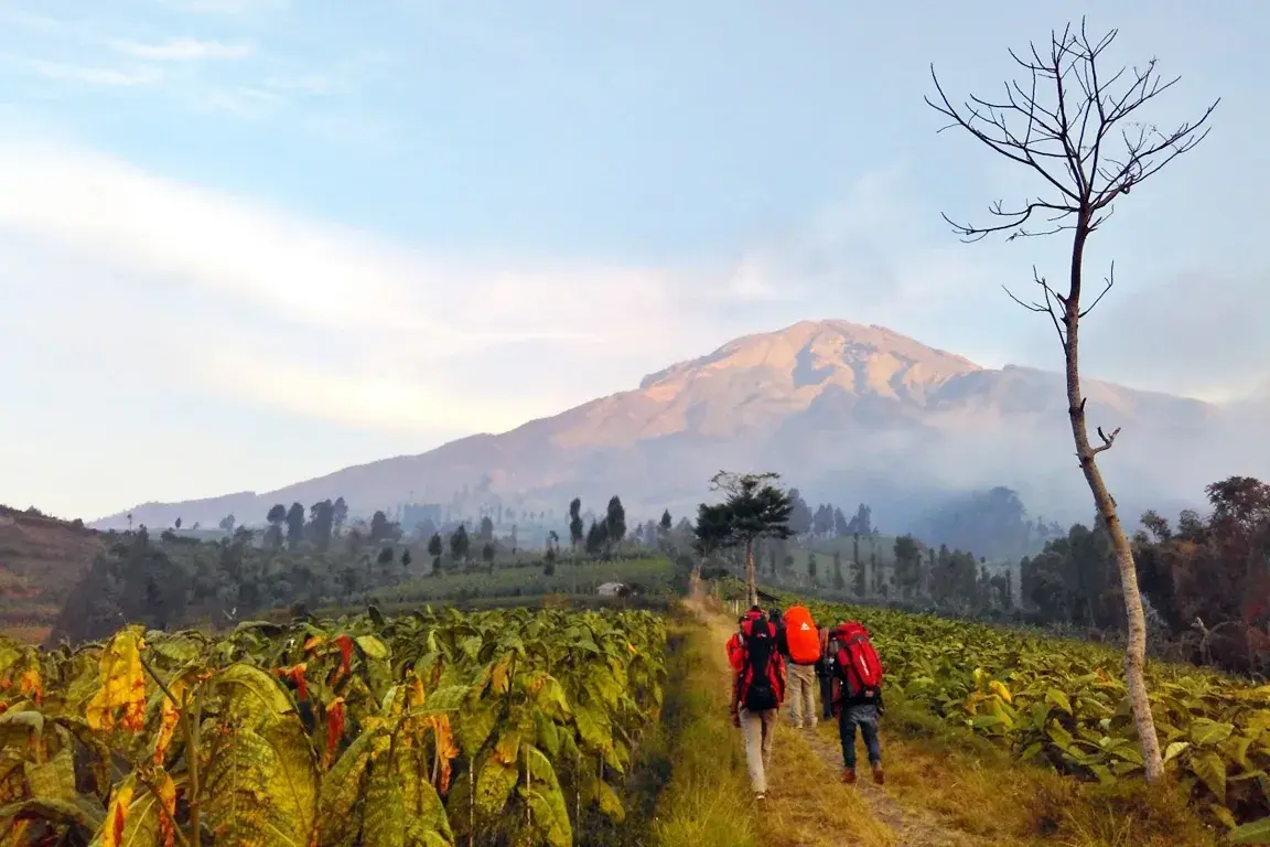 open trip gunung