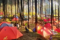 bisnis sewa tenda camping