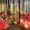 bisnis sewa tenda camping