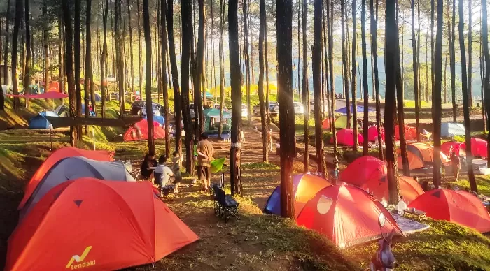 bisnis sewa tenda camping